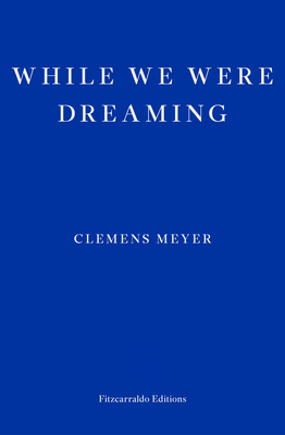 While We Were Dreaming - Meyer, Clemens, and Derbyshire, Katy (Translated by)