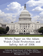 White Paper on the Adam Walsh Child Protection and Safety Act of 2006