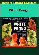 White Pongo