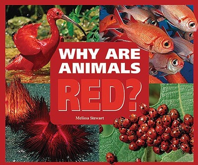 Why Are Animals Red? - Stewart, Melissa