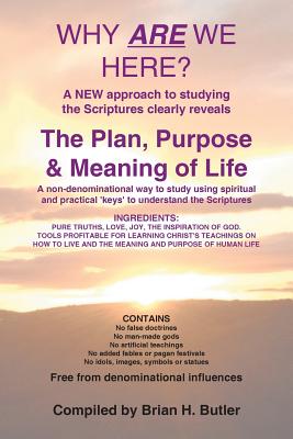 Why are we Here?: The Plan, Purpose & Meaning of Life - Butler, Brian H