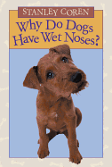 Why Do Dogs Have Wet Noses?
