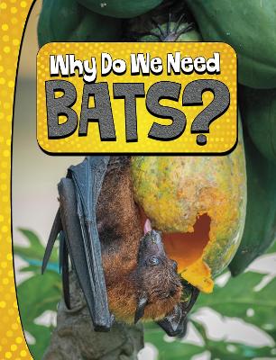 Why Do We Need Bats? - Murray, Laura K.