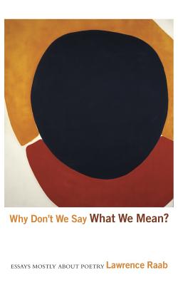 Why Don't We Say What We Mean?: Essays Mostly about Poetry - Raab, Lawrence