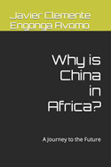 Why is China in Africa?: A Journey to the Future