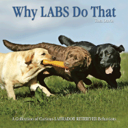Why Labs Do That: A Collection of Curious Labrador Retriever Behaviors - Davis, Tom