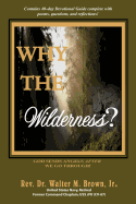 Why the Wilderness?: God Sends Angels After We Go Through!