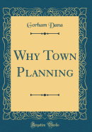 Why Town Planning (Classic Reprint)