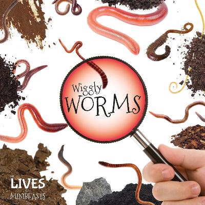Wiggly Worms - Duhig, Holly, and Webster-Jones, Danielle (Designer)