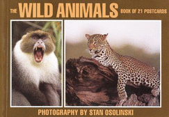 Wild Animals: Postcard Book - Browntrout Publishers (Manufactured by)