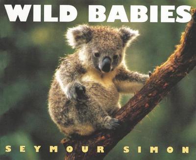 Wild Babies - Simon, Seymour