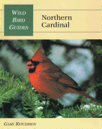 Wild Bird Guide: Northern Cardinal