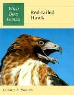 Wild Bird Guide: Red-Tailed Hawk