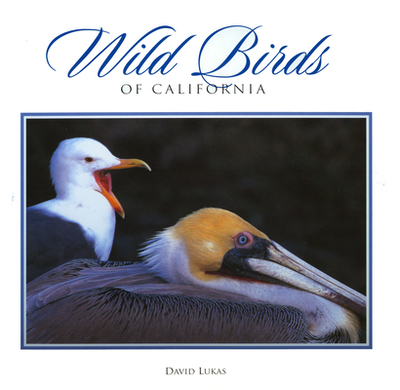 Wild Birds of California - Lukas, David, and Various (Photographer)