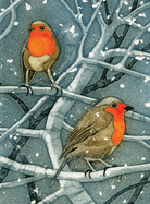 Wild Birds Pocket Notebook: Robin