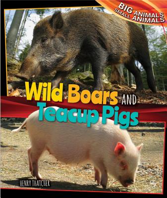 Wild Boars and Teacup Pigs - Thatcher, Henry