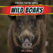 Wild Boars