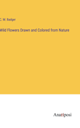 Wild Flowers Drawn and Colored from Nature