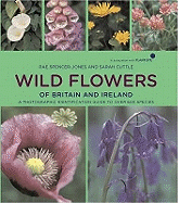 Wild Flowers of Britain and Ireland: In Association with Plant Life: A Photographic Field Guide to Over 600 Species
