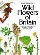 Wild Flowers of Britain: Over a Thousand Species by Photographic Identification