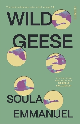 Wild Geese: 'The most exciting new voice in Irish writing' i-D - Emmanuel, Soula