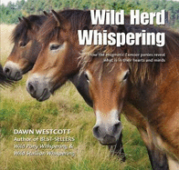 Wild Herd Whispering: How the enigmatic Exmoor ponies reveal what is in their hearts and minds