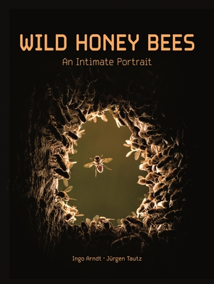 Wild Honey Bees: An Intimate Portrait - Arndt, Ingo, and Tautz, Jrgen, and Seeley, Thomas D (Foreword by)