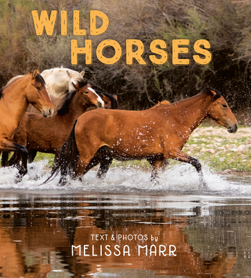 Wild Horses - Marr, Melissa (Photographer)