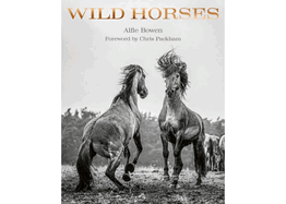 Wild Horses