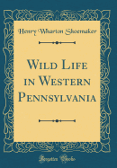 Wild Life in Western Pennsylvania (Classic Reprint)