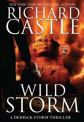 Wild Storm: A Derrick Storm Thriller - Castle, Richard