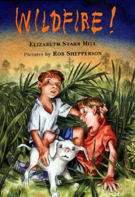 Wildfire! - Hill, Elizabeth Starr