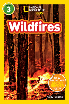 Wildfires - Furgang, Kathy
