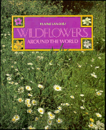 Wildflowers Around the World