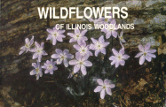 Wildflowers Illinois Woodlands-94 - Runkel, Sylvan T, and Bull, Alvin F