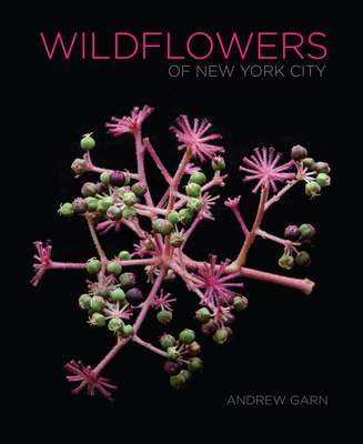 Wildflowers of New York City - Garn, Andrew