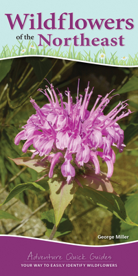 Wildflowers of the Northeast: Your Way to Easily Identify Wildflowers - Miller, George Oxford