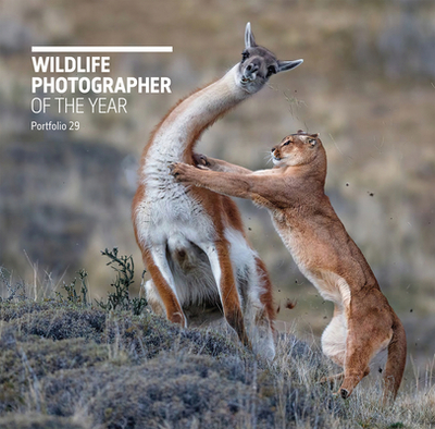 Wildlife Photographer of the Year: Portfolio 29 - Kidman Cox, Rosamund (Editor)