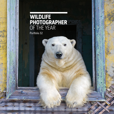Wildlife Photographer of the Year: Portfolio 32 - Cox, Rosamund Kidman (Editor)