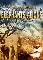 Wildlife Stories: The Whole Story - Elephants and Lions
