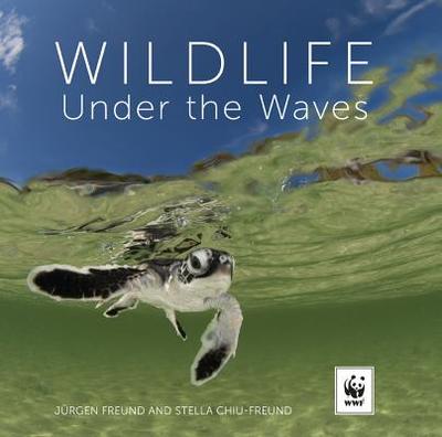 Wildlife Under the Waves - Freund, Jurgen, and Chiu-Freund, Stella