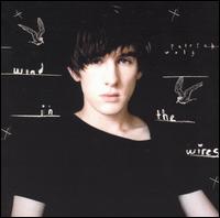 Wind in the Wires - Patrick Wolf