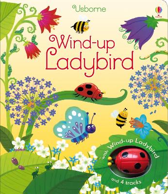 Wind-up Ladybird - Watt, Fiona