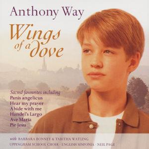 Wings of a Dove - 
