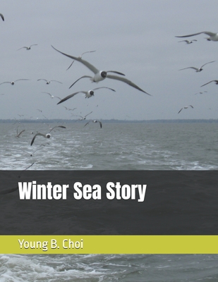 Winter Sea Story - Choi, Young B