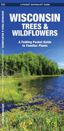 Wisconsin Trees & Wildflowers: A Folding Pocket Guide to Familiar Plants