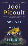 Wish You Were Here: A Novel