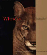 Witness: Endangered Species of North America - Middleton, Susan, and Liittschwager, David (Photographer), and Chronicle Books