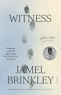 Witness: Stories - Brinkley, Jamel