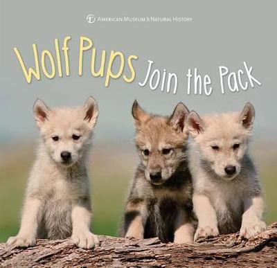 Wolf Pups Join the Pack - American Museum of Natural History